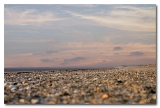 Hauteville sur mer4